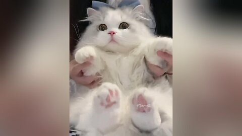 How's the dance?