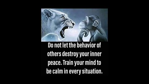 Daily Inspirational Quotes