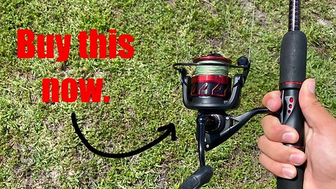 I’ve had this reel for 365 DAYS and here is what happened | PENN Fierce 3￼ Review￼