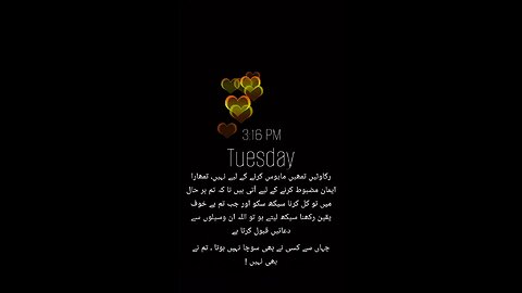 Reality 🌹❤️