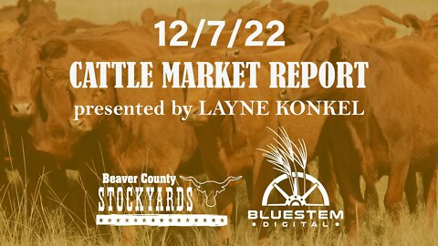 12/7/22 Beaver County Stockyards Cattle Market Report
