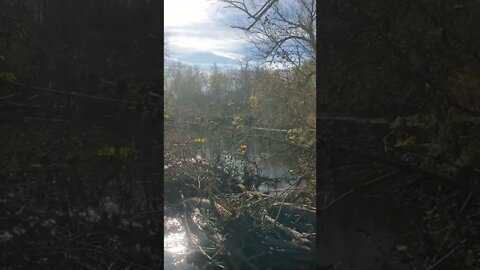 relaxing river canal.