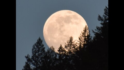 # 113 President Trump Finally Makes Main Stream News Headlines!