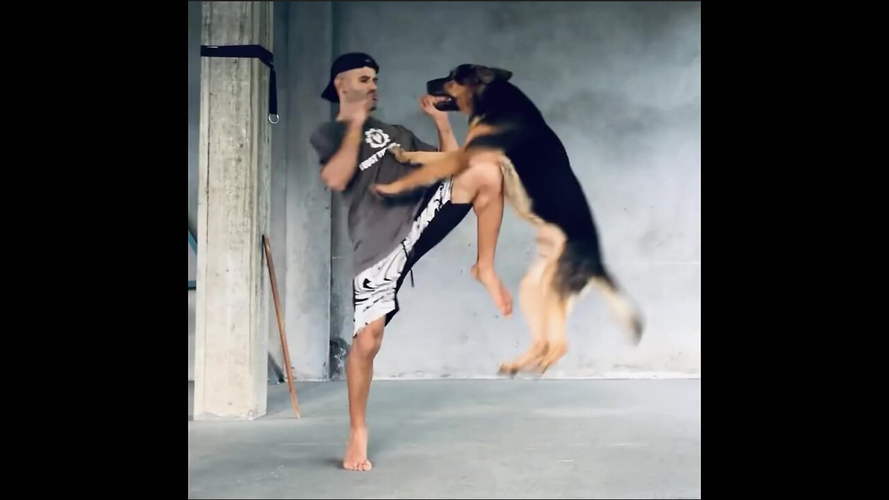 Defend Yourself From A Dog Attack With Few Tips