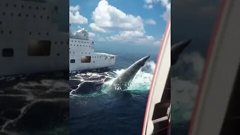 CGI😎Megalodon🦈