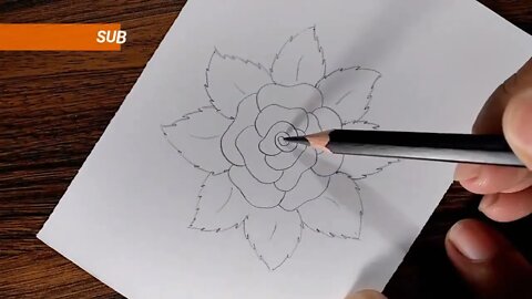 How to draw a Rose step by step