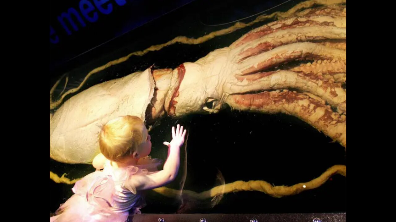 Release The Kraken Part 4 Luciferase Patent LiFi Liquid Crystal
