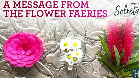 A Message from the Flower Faeries 🔮 PICK-A-CARD MONDAYS