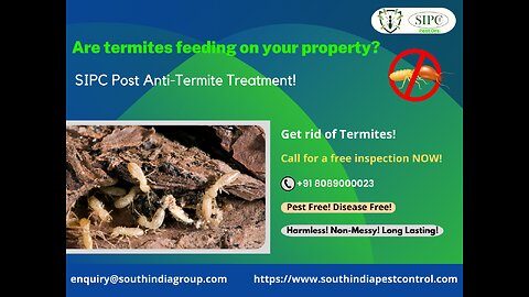 Termite Control Cochin