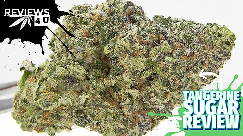 TANGERINE SUGAR STRAIN REVIEW | REVIEWS 4 U - ONE TWO TREEZ