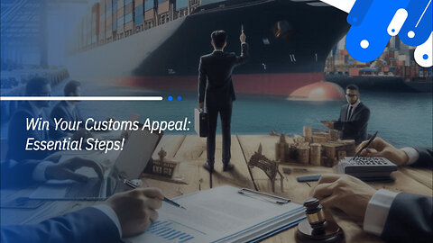 Mastering the Appeals Process: Winning Your Customs Examination Dispute