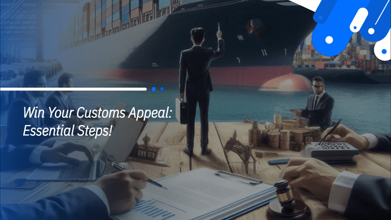 Mastering the Appeals Process: Winning Your Customs Examination Dispute