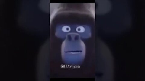 that's my son ! #sigma #fitness #cardio #animals #zootopia