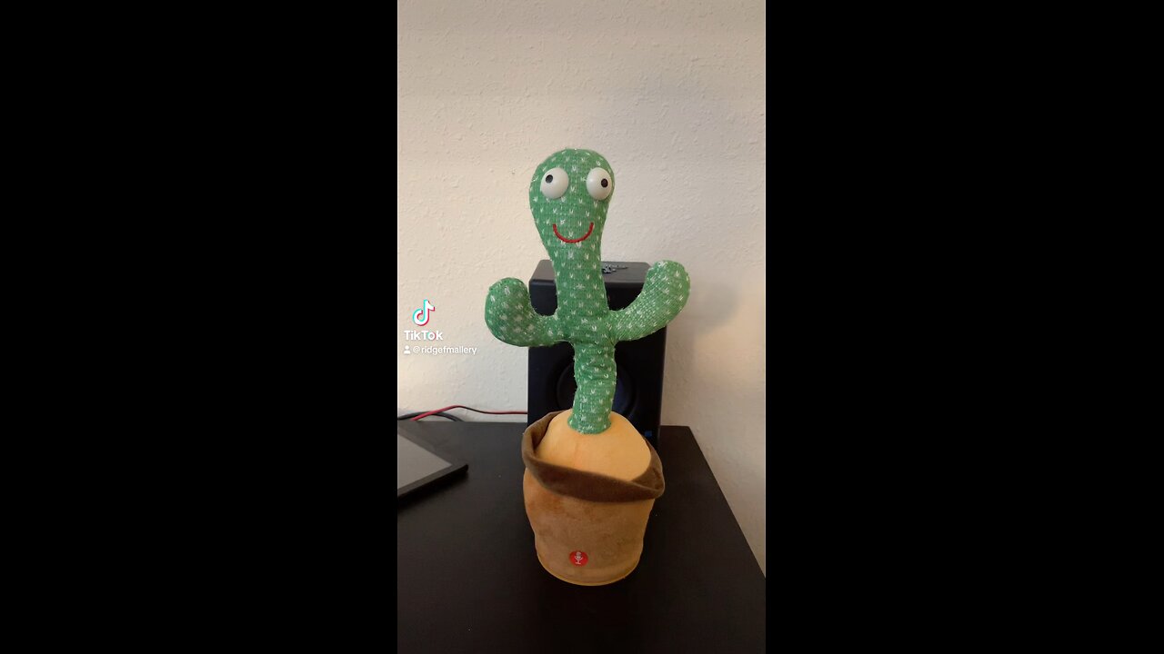 Cactus Eminem Rap