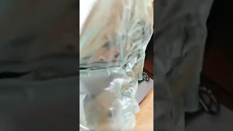 Amazon and UPS Shipping Fail! | Reseller Problems