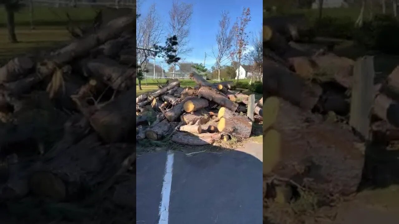 Hurricane Fiona Damage at Victoria Park PEI