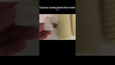 Microscopic View of White Pumice