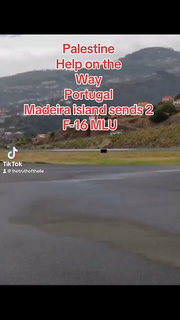 Madeira sends 2 fighters