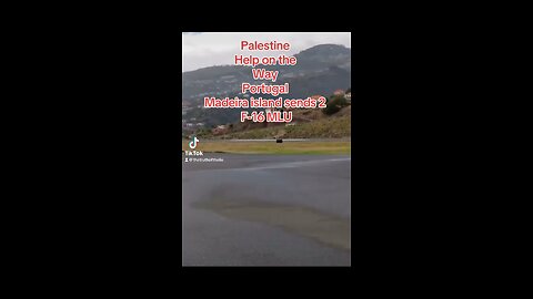 Madeira sends 2 fighters