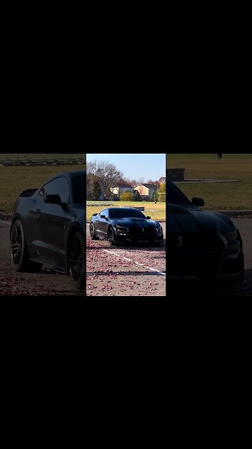 2023 ✨ #ford #mustangsociety #fordperformance #fordracing #shorts