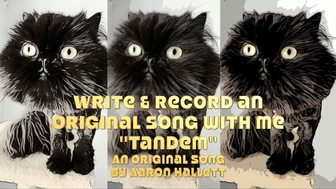 Write & Record an Original Song With Me "Tandem" an Original Song by Aaron Hallett