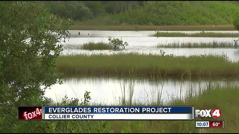 Rooney: Help is on the way for the Everglades