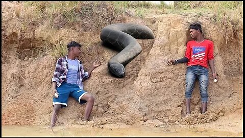 Anaconda Snake Attack In Real Life.