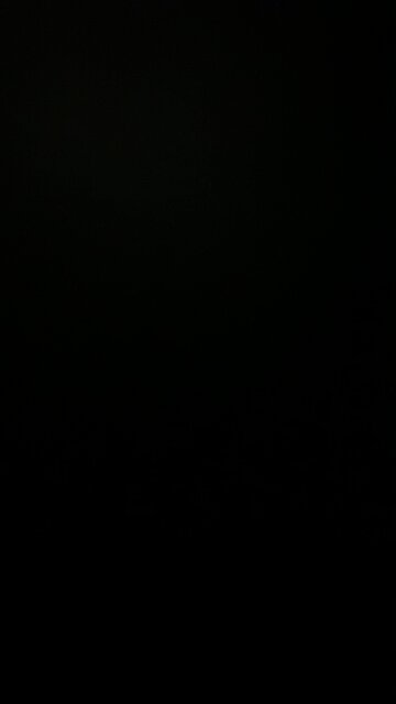 Donald Trump rally in Erie Pennsylvania