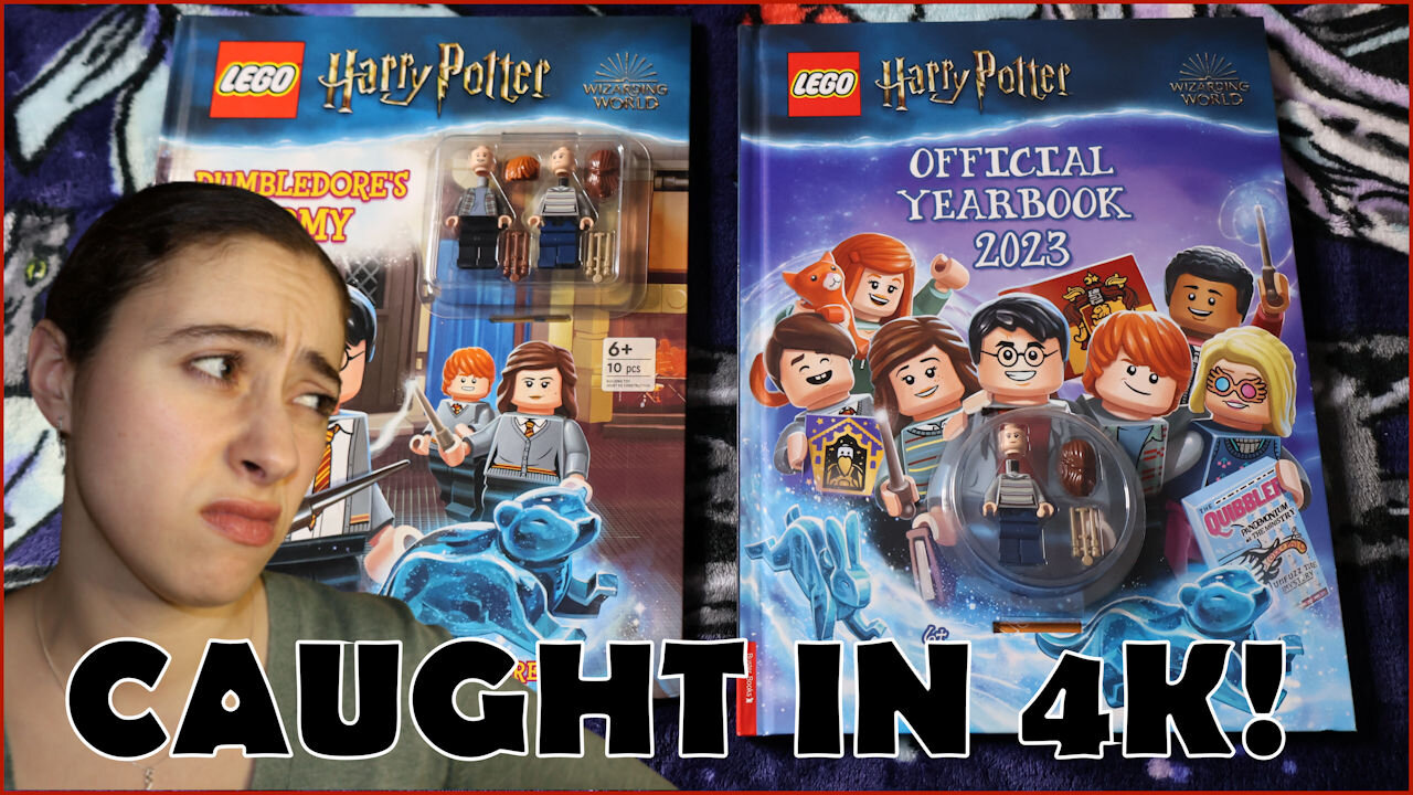 I Caught LEGO In 4K | Harry Potter Books