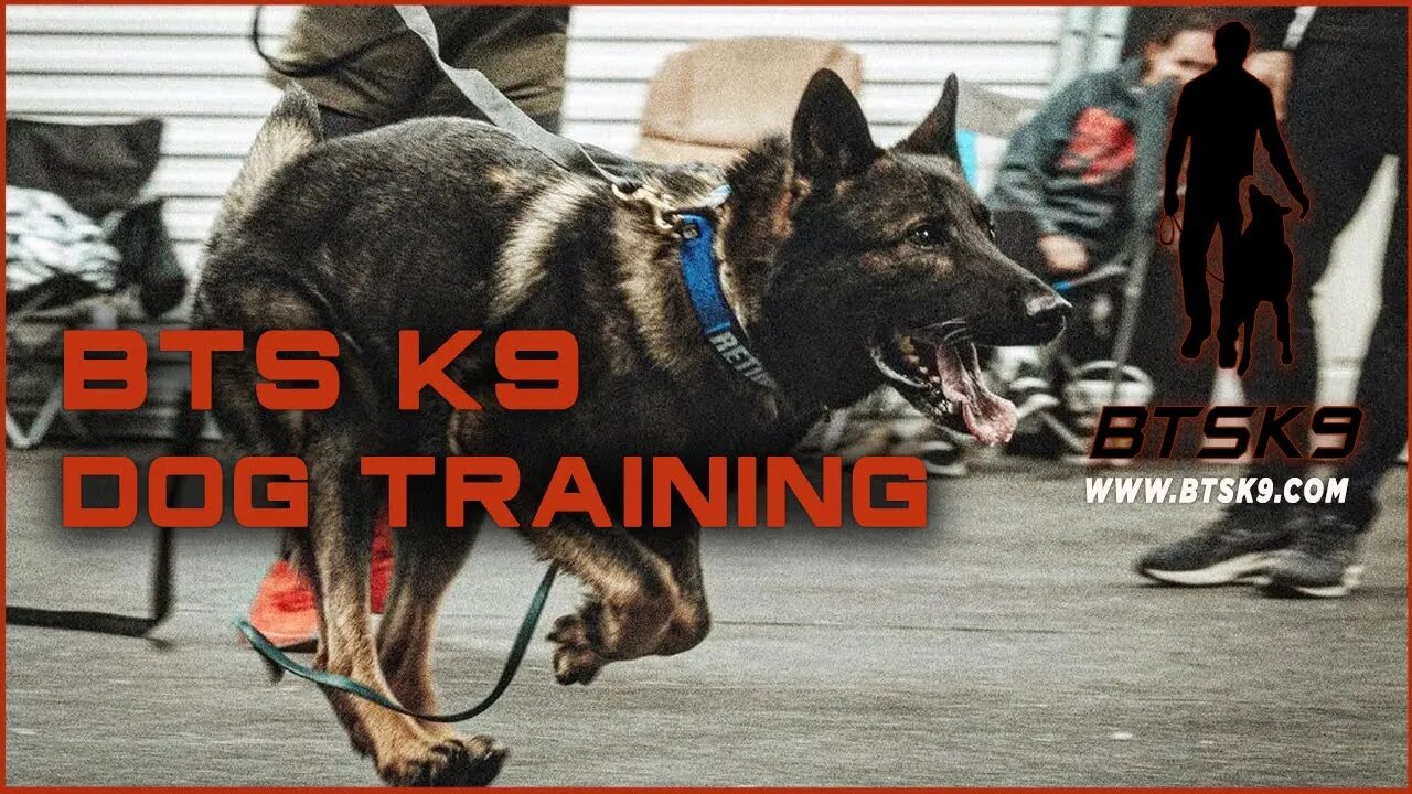 BTS K9 Dog Training