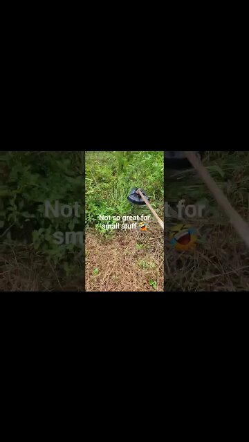 The Echo Blade Conversion Really Helps! #shorts