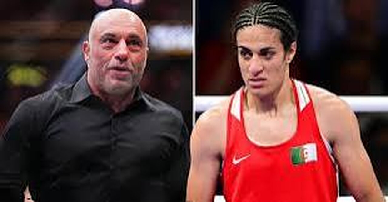 Joe Rogan on gender controversy during Olympic boxing match