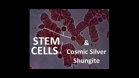 BLOOD TEST OF SHUNGITE SILVER STICKER