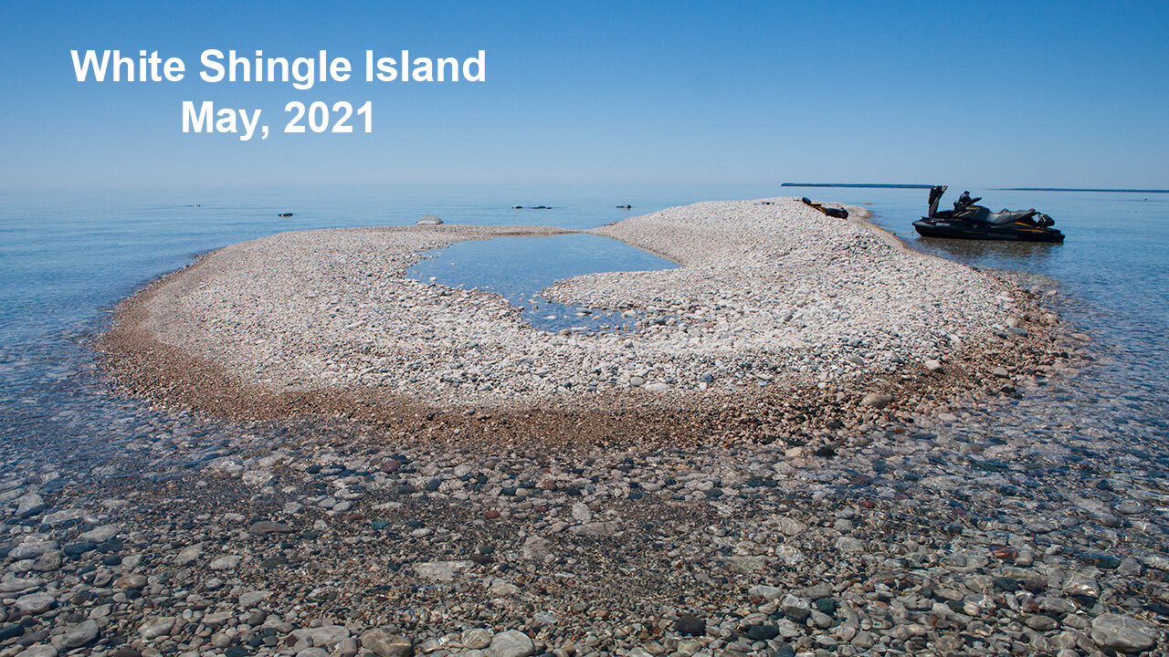 White Shingle Island, May 2021