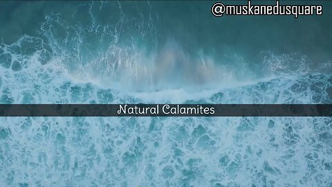 Natural Calamites