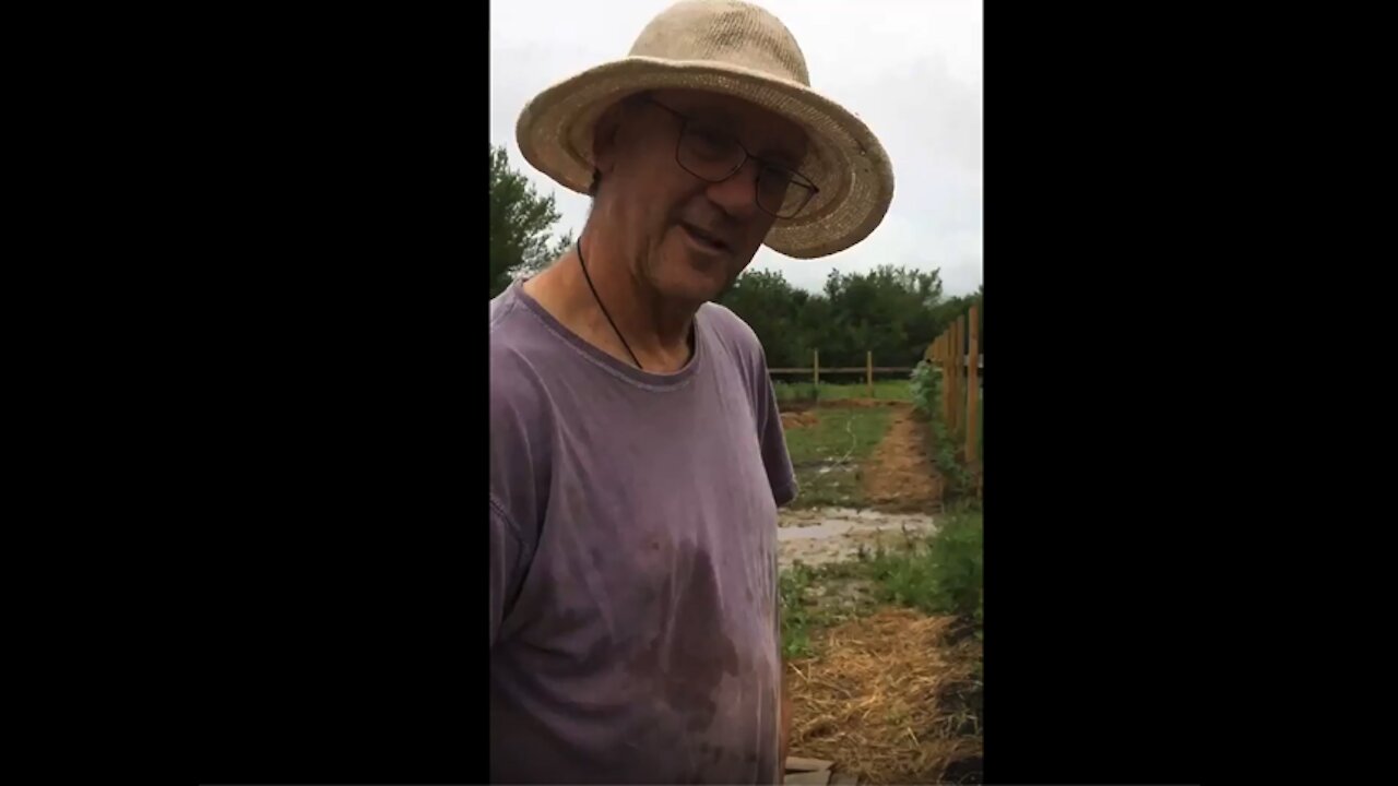 Let your weeds help you build soil.