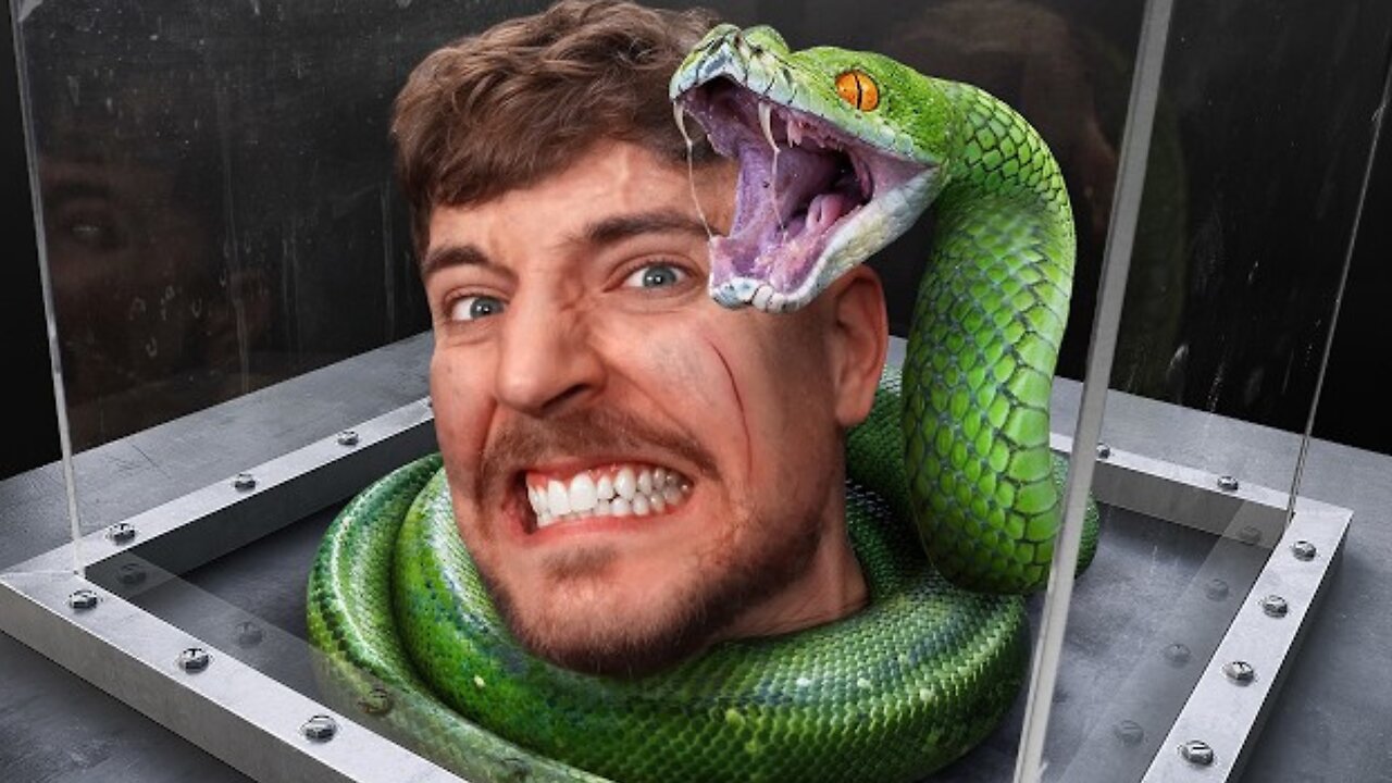 Face Your Biggest Fear To Win $800,000