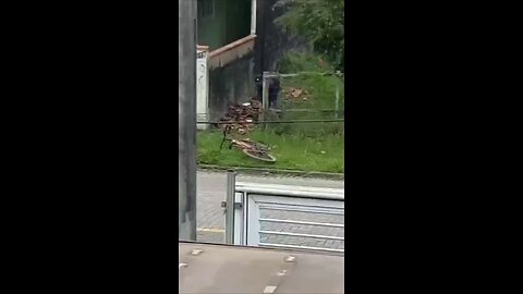 Furto de fiação é registro em Joinville.