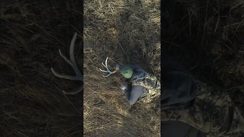 Big Shed Found! #shedhunting #shedrally #shorts
