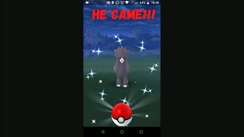 FURFROU SHINY IN THE LAST SECOND OF THE EVENT POKÉMON GO #shorts