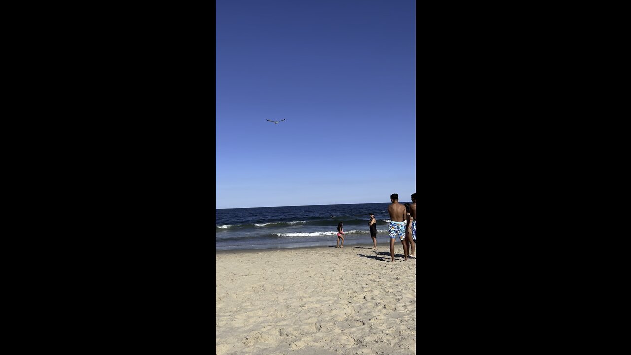 Always swim by a lifeguard Belmar NJ 8.13.22