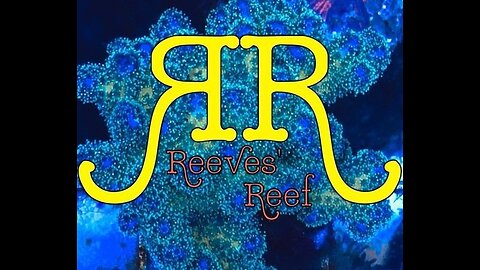 Reef Maintenance Booking