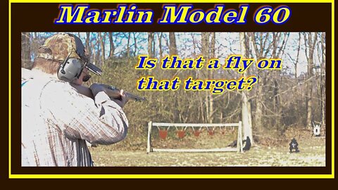 Marlin Model 60: The Classic 22 Tackdriver