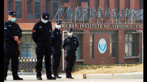 Wuhan Lab Leak