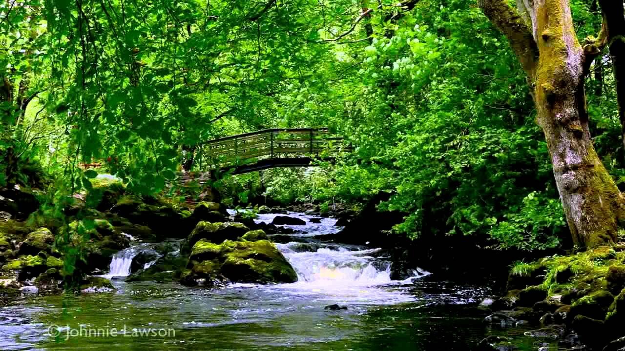 Nature Music To Relaxing🎵Theraphy, Healing, Mediatation, Anxiety, Stress Relief