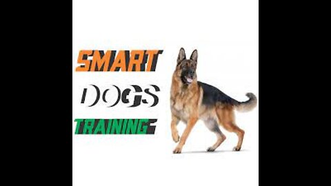 🐕Smart Dog Training|Dog Training Tricks🐕