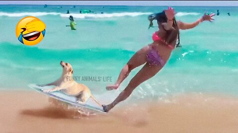 Best Funny Animal Videos 2022 🐶 - Funniest Dogs And Cats Videos 😁🤣