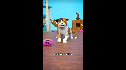 Why You Shouldn't Declaw a Cat 😨