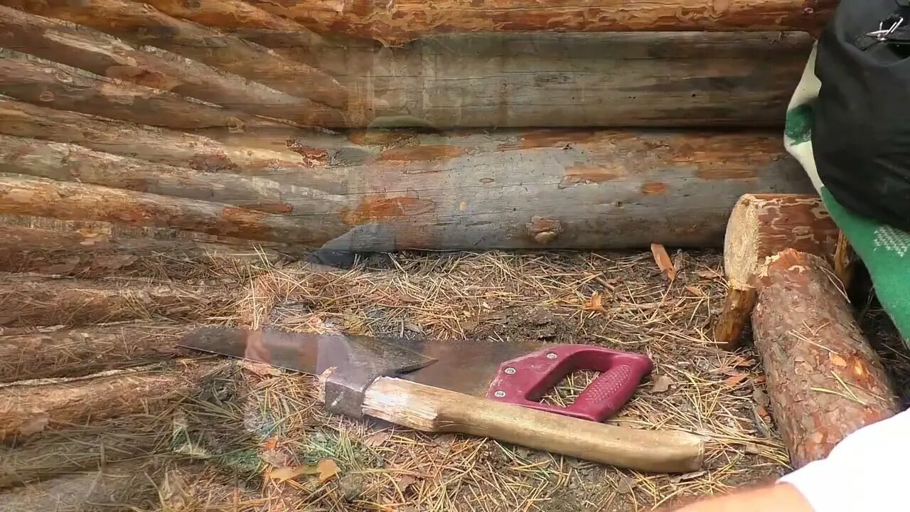 A jungle shelter in the jungle, fried eggs with sausage5