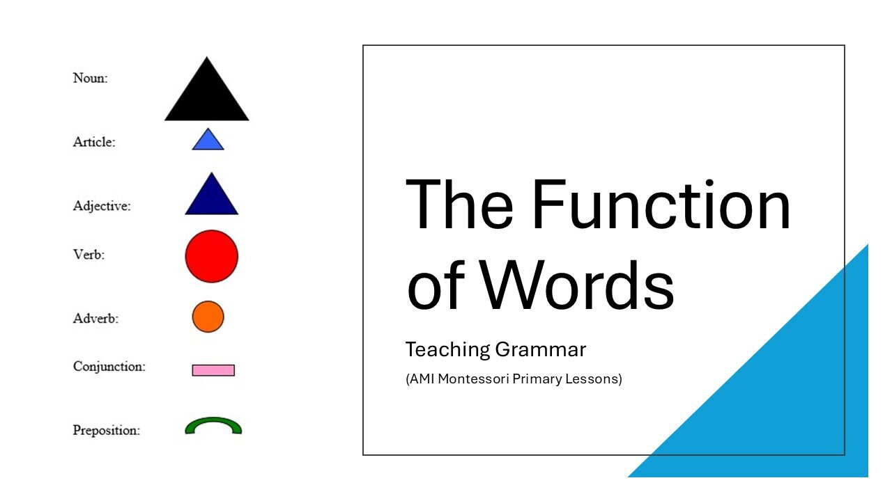 Introduction to AMI Montessori Grammar - The Function of Words (language lesson for ages 4+)